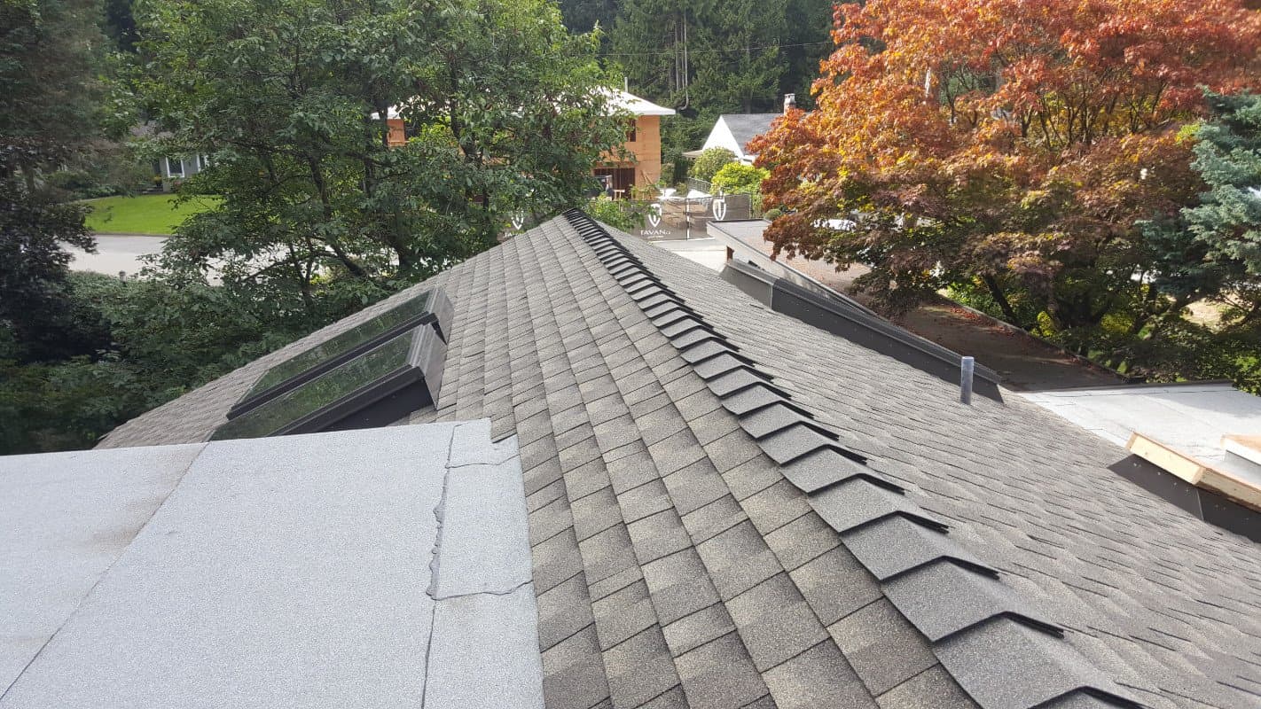 Roof cleaning service