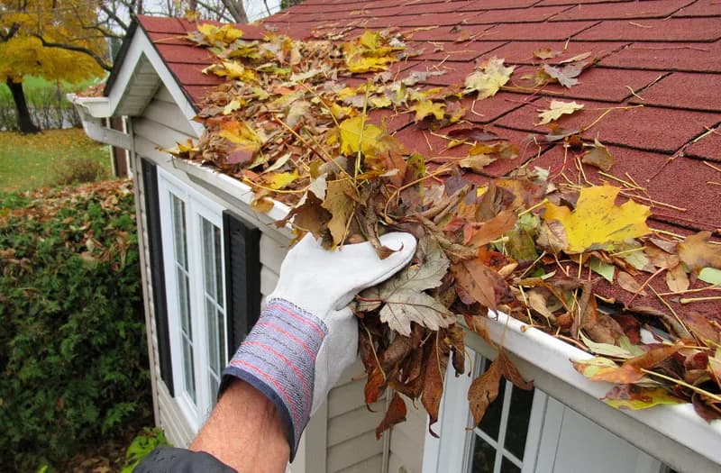 Gutter cleaning service